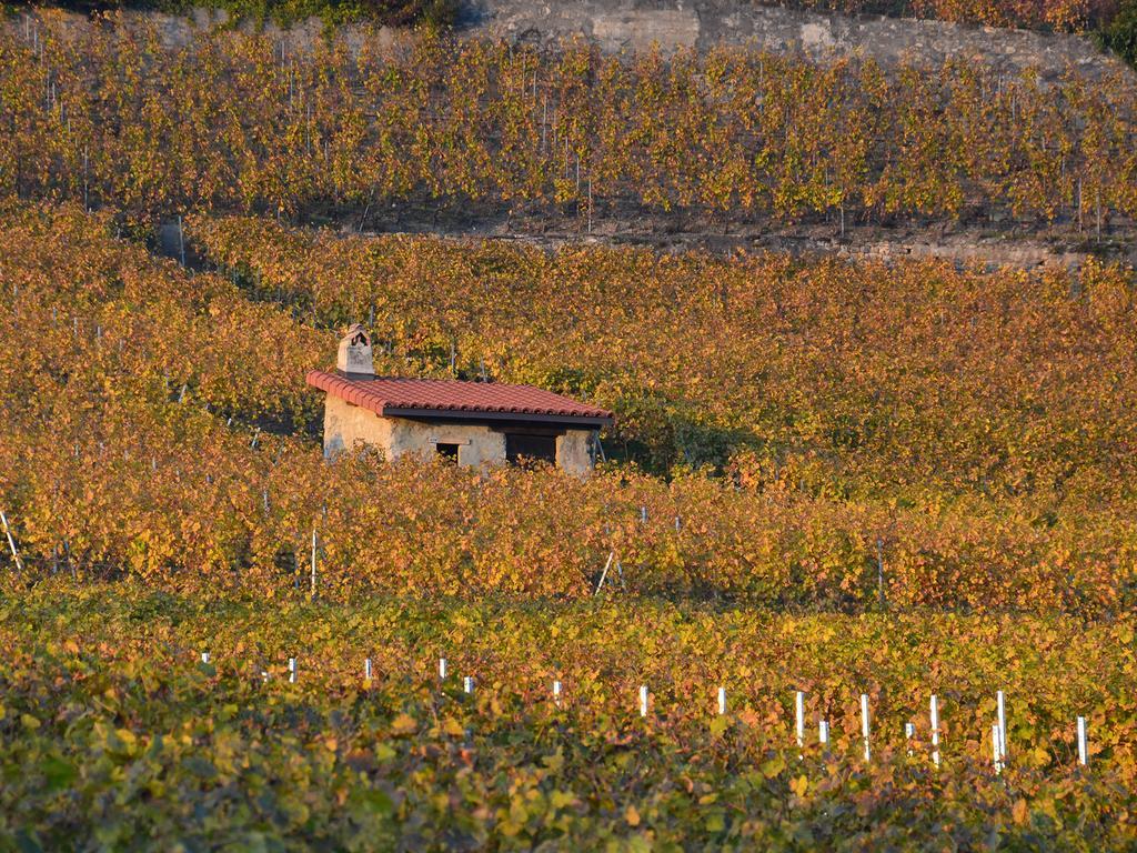 Bnb Le Haut Des Vignes Lutry Exterior foto